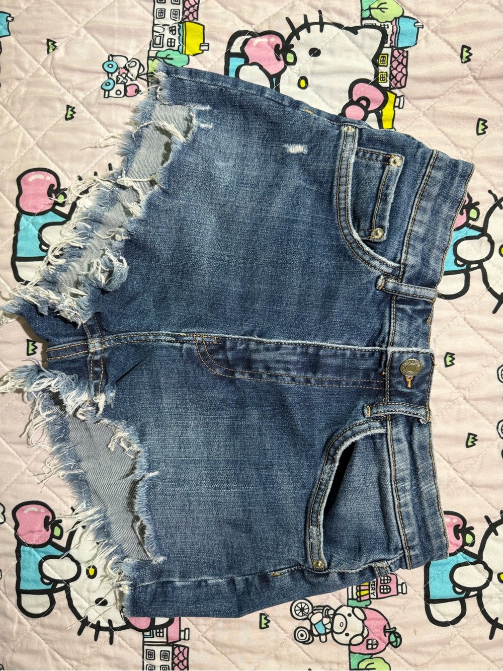 Zara Distressed Denim Shorts